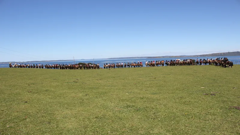 AMIGOS DEL CAMPO REALIZARON CABALGATA POR SECTORES DE LA COMUNA DE CURACO DE VÉLEZ Imagen noticias Wapi Chilwe