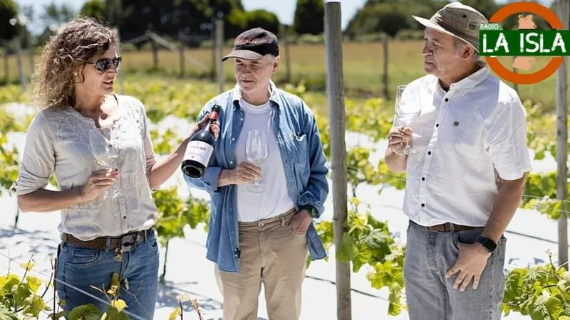 PUNTA CHILÉN: RENOMBRADA VIÑA CHILENA PRESENTA EL PRIMER ESPUMANTE DE CHILOÉ Imagen noticias Wapi Chilwe